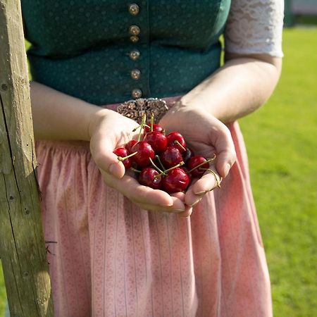 Obstgarten Gaestehaus Hollenstein an der Ybbs Экстерьер фото