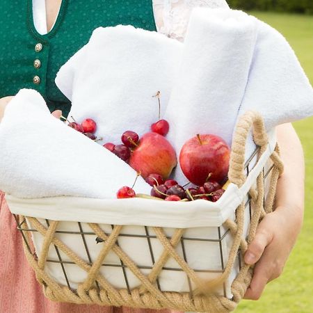 Obstgarten Gaestehaus Hollenstein an der Ybbs Экстерьер фото