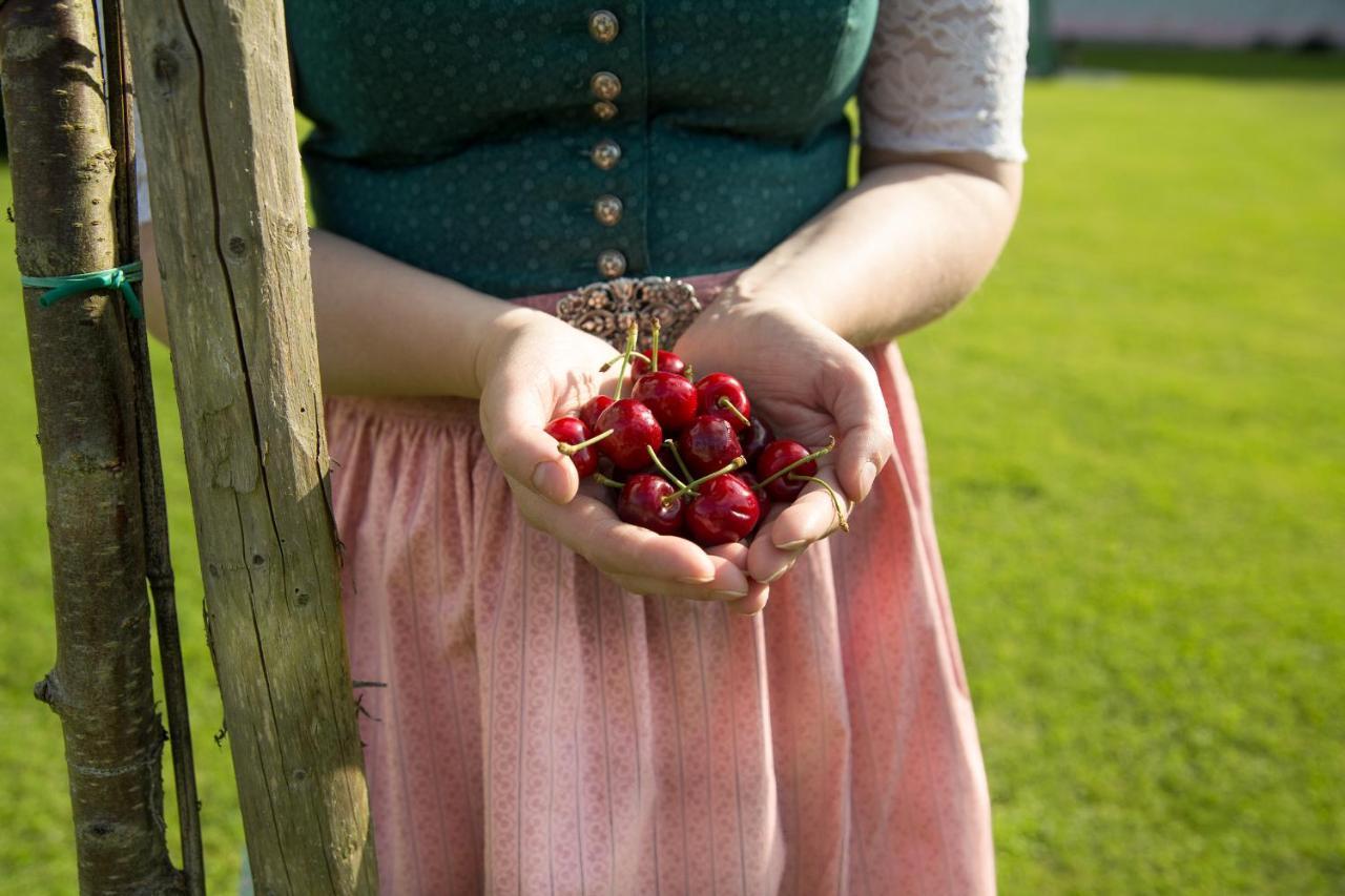 Obstgarten Gaestehaus Hollenstein an der Ybbs Экстерьер фото