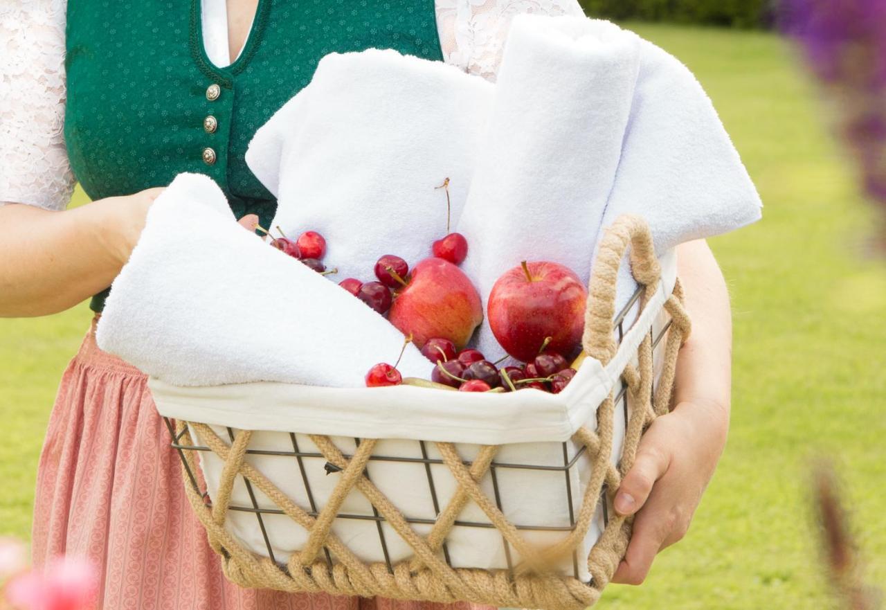 Obstgarten Gaestehaus Hollenstein an der Ybbs Экстерьер фото